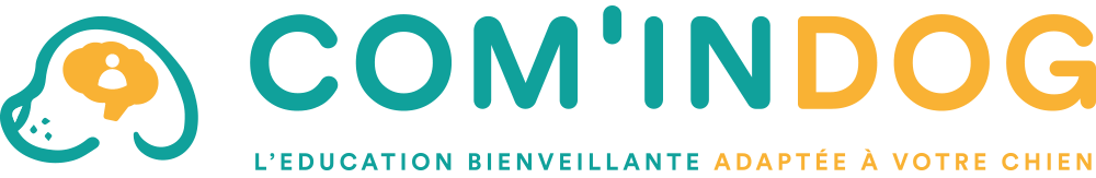 Accueil